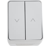 2-клавишный выключатель для жалюзи Systeme Electric Atlasdesign profi ip54 2хсх.4, серый ATN543019