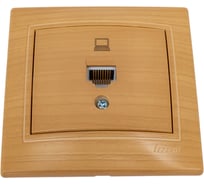 Компьютерная розетка LEZARD MIRA ясень 701-4747-139