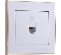 Компьютерная розетка LEZARD RAIN белый с бок. вст. золото 703-0226-139