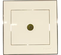 Телевизионная розетка LEZARD RAIN проходная белый с бок. вст. хром 703-0225-129