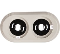 Рамка Electraline 2 постовая ВF1-620-21