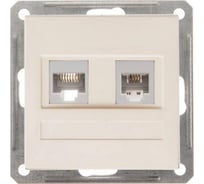 Розетка rj11+rj45 Systeme Electric Wessen 59 слоновая кость кат.5e RSI-251TK5E-2-86