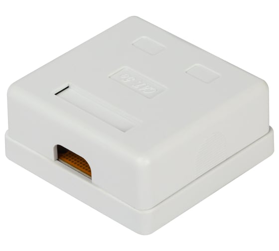 Компьютерная розетка ЭРА RJ45 категория 5е неэкранированная, 2 порта, упаковка 30 шт. Б0056902
