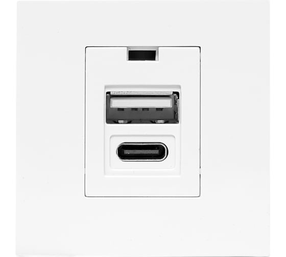 Розетка EKF USB A+C, 2.1А, 2 гнезда, без индикатора E2MR2-21USB-10-AC 1