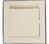 Розетка LEZARD RAIN с/ з с крышкой керамика белый с бок. вст. хром 703-0225-123