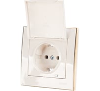 Розетка LEZARD RAIN с/ з с крышкой керамика белый с бок. вст. золото 703-0226-123