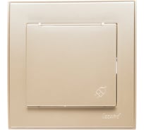 Розетка LEZARD RAIN с/ з с крышкой керамика жемчужно-белый металлик 703-3030-123