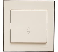 Проходной выключатель LEZARD RAIN белый с бок. вст. хром 703-0225-105