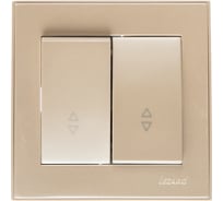 Проходной двойной выключатель LEZARD RAIN жемчужно-белый металлик 703-3030-106