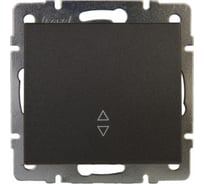 Проходной выключатель LEZARD RAIN цв. черный графит матовый 703-4188-105