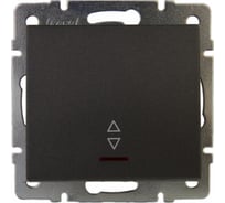 Проходной выключатель с подсветкой LEZARD RAIN цв. черный графит матовый 703-4188-114 16027929