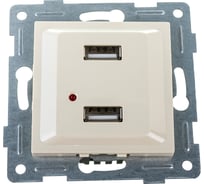 Розетка USB GUSI ELECTRIC Ugra двойная, СУ, бежевый С11USB2-003