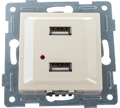 Розетка USB GUSI ELECTRIC Ugra двойная, СУ, бежевый С11USB2-003