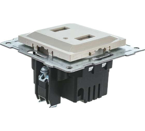 Розетка USB GUSI ELECTRIC Ugra двойная, СУ, бежевый С11USB2-003