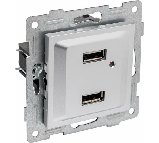 Розетка USB GUSI ELECTRIC Ugra, двойная, СУ, серебро С11USB2-004
