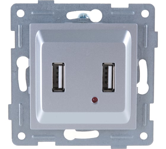 Розетка USB GUSI ELECTRIC Ugra, двойная, СУ, серебро С11USB2-004