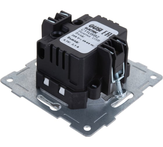 Розетка USB GUSI ELECTRIC Ugra, двойная, СУ, серебро С11USB2-004