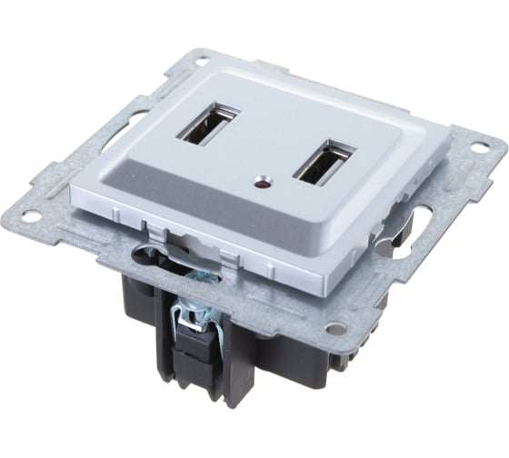 Розетка USB GUSI ELECTRIC Ugra, двойная, СУ, серебро С11USB2-004