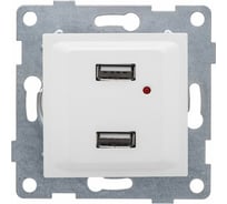 Розетка USB GUSI ELECTRIC Ugra двойная, СУ, белая С11USB2-001