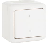 Выключатель Legrand двухполюсный одноклавишный Legrand Quteo IP44 10А 250В винтовые зажимы накладной монтаж белый 782309