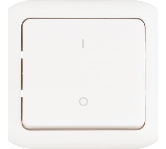 Выключатель Legrand двухполюсный одноклавишный Legrand Quteo IP44 10А 250В винтовые зажимы накладной монтаж белый 782309