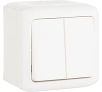 Переключатель Legrand двухклавишный Legrand Quteo IP44 10A 250В винтовые зажимы накладной монтаж белый 782301