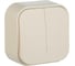 Переключатель Legrand двухклавишный Legrand Quteo IP20 10A 250В винтовые зажимы накладной монтаж слоновая кость 782236 1