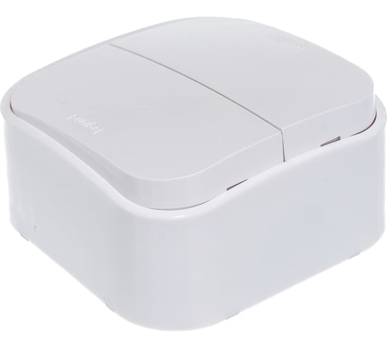 Выключатель Legrand двухклавишный Legrand Quteo IP20 10А 250В винтовые зажимы накладной монтаж белый 782202