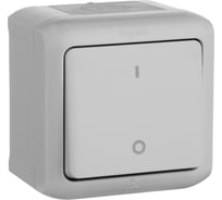 Выключатель Legrand двухполюсный одноклавишный Legrand Quteo IP44 10А 250В винтовые зажимы накладной монтаж серый 782339