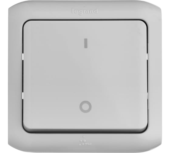 Выключатель Legrand двухполюсный одноклавишный Legrand Quteo IP44 10А 250В винтовые зажимы накладной монтаж серый 782339