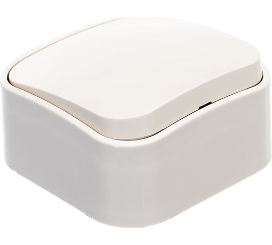 Выключатель Legrand одноклавишный Legrand Quteo IP20 10А 250В винтовые зажимы накладной монтаж слоновая кость 782230
