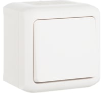 Переключатель Legrand одноклавишный Legrand Quteo IP44 10А 250В винтовые зажимы накладной монтаж белый 782304