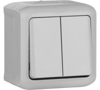 Переключатель Legrand двухклавишный Legrand Quteo IP44 10A 250В винтовые зажимы накладной монтаж серый 782331
