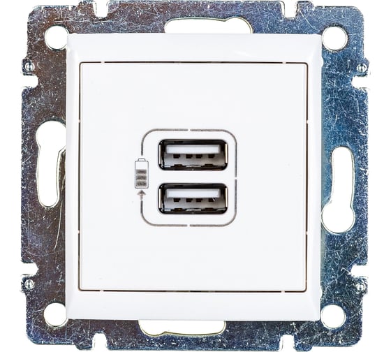 Зарядное устройство Legrand USB тип А / тип А Legrand Valena 3000мА 15Вт белый 770470