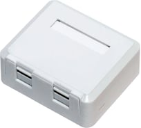 Розетка 5Bites rj45 / 6cat / 2ports LY-SB04-A