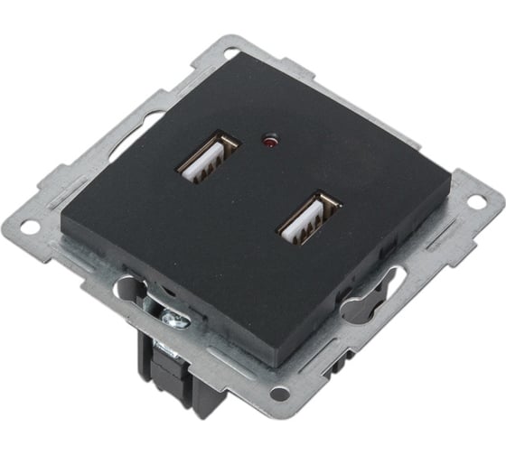 Розетка USB GUSI ELECTRIC Bravo двойная, СУ, графит С10USB2-010