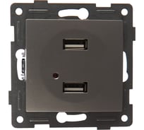 Розетка USB GUSI ELECTRIC Bravo двойная, СУ, серебро С10USB2-004