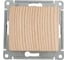 1-клавишный переключатель Systeme Electric Glossa сосна сх.6, 10ах, механизм GSL001561 2