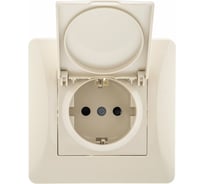 Розетка с крышкой GUSI ELECTRIC Ugra с БЗК, c ЗП, СУ, 16А, 250В, бежевый С11Р91-003-СБ