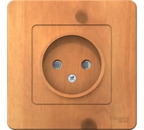 Розетка Systeme Electric Blanca с/у ясень б/з со шт., 16а BLNRS000115