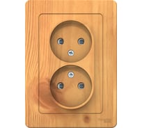 Двухместная розетка Systeme Electric Blanca с/у ясень б/з со шт., 16а BLNRS000125