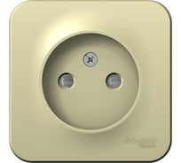 Розетка Systeme Electric Blanca о/у с изол. пласт. бежевый без з/к со шт. 16а BLNRA001117