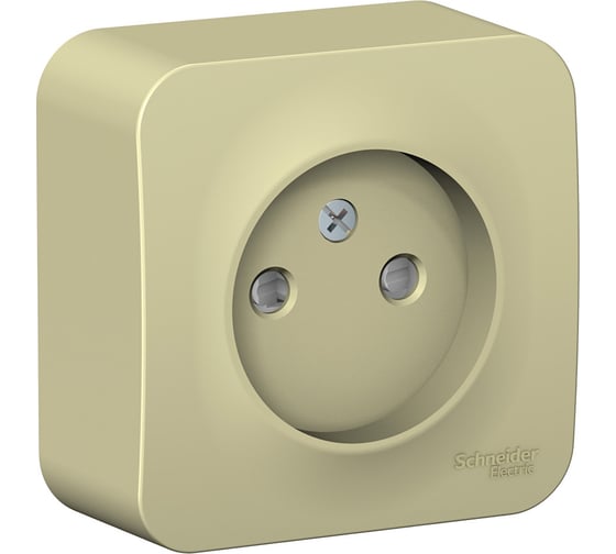 Розетка Systeme Electric Blanca о/у с изол. пласт. бежевый без з/к со шт. 16а BLNRA001117