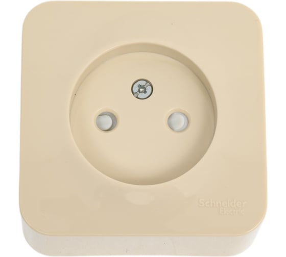 Розетка Systeme Electric Blanca о/у с изол. пласт. бежевый без з/к со шт. 16а BLNRA001117