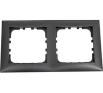 2-постовая рамка LK Studio черный бархат 864208-1