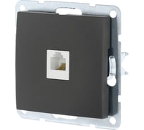 Компьютерная розетка LK Studio RJ-45, категория 5е, с накладкой, черный бархат 866108-1