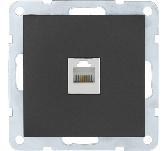 Компьютерная розетка LK Studio RJ-45, категория 5е, с накладкой, черный бархат 866108-1