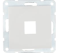 Компьютерная розетка LK Studio RJ-45, категория 5е, с накладкой, белый 866104-1