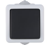 Одноклавишный 1-полюсный выключатель LK Studio схема1, IP54, 10А/250V, серый LK AQUA 80001