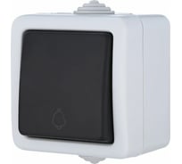 Одноклавишный выключатель-кнопка LK Studio схема 1Т с символом "звонок", IP54, 10А/250V, серый AQUA 80002